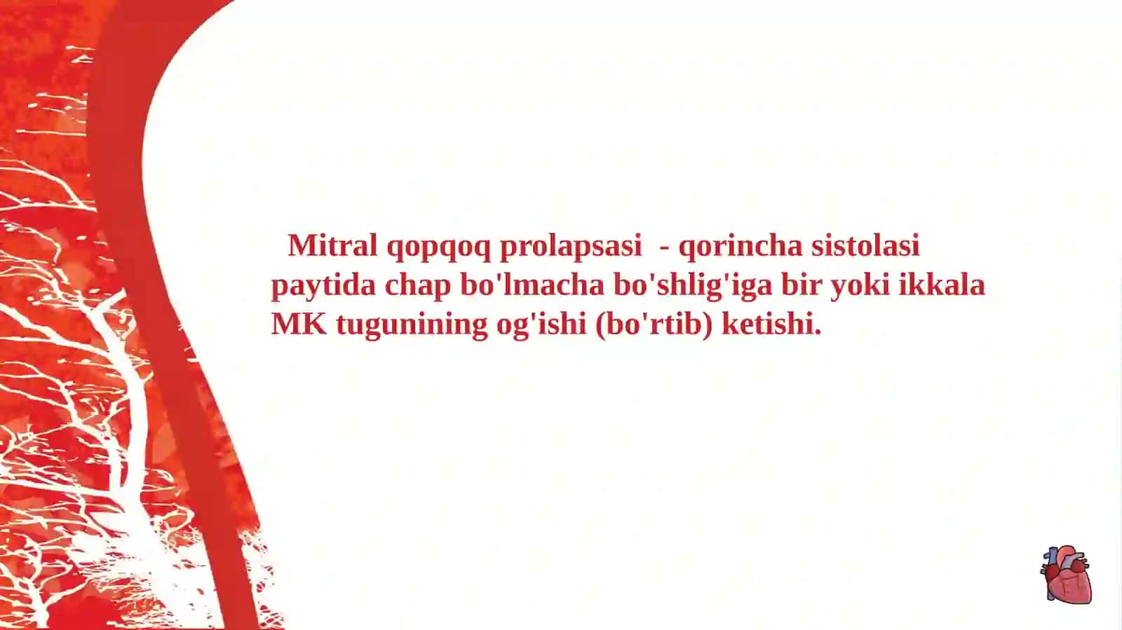 MITRAN KLAPAN PROLAPSI 2