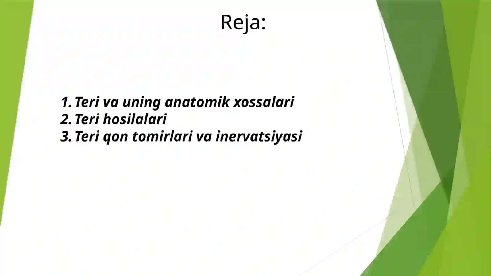 Terivaunung xossalari 2