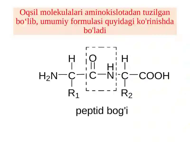 Peptidlar va oqsillar tuzilishi va xossalari 2