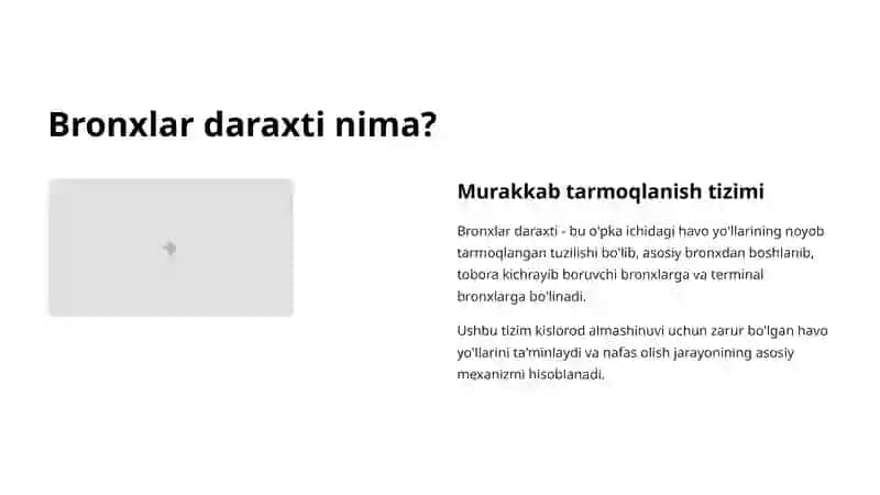 Bronxlar daraxti 2