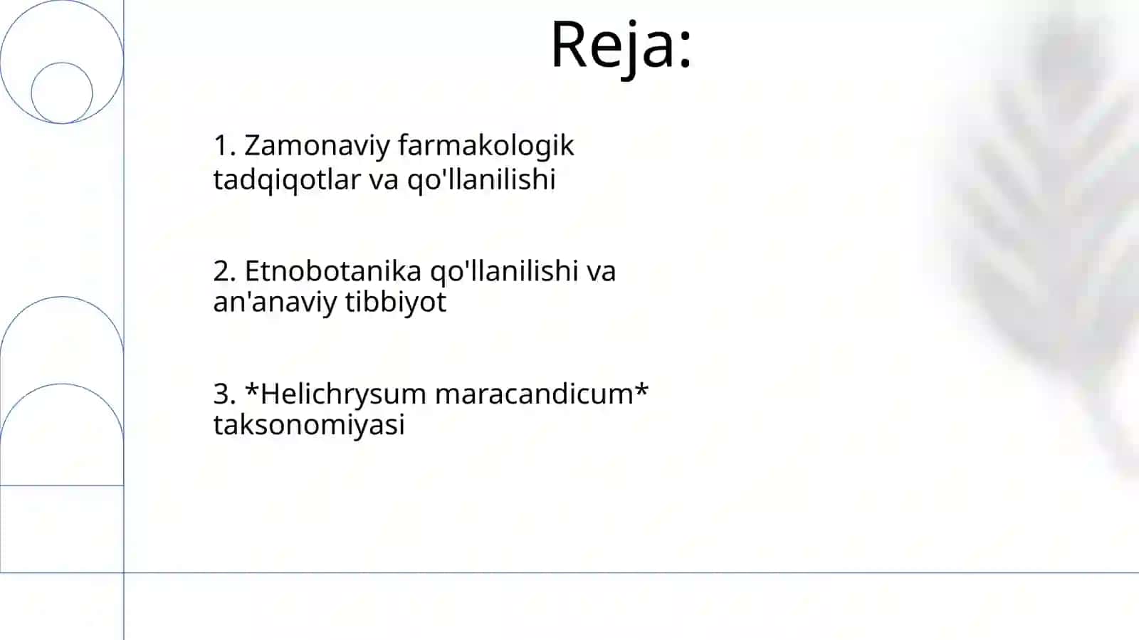 Samarqand o'lmas o'ti (Helichrysum maracandicum) ning sistematikasi va tibbiyotda qoʻllanishi 2