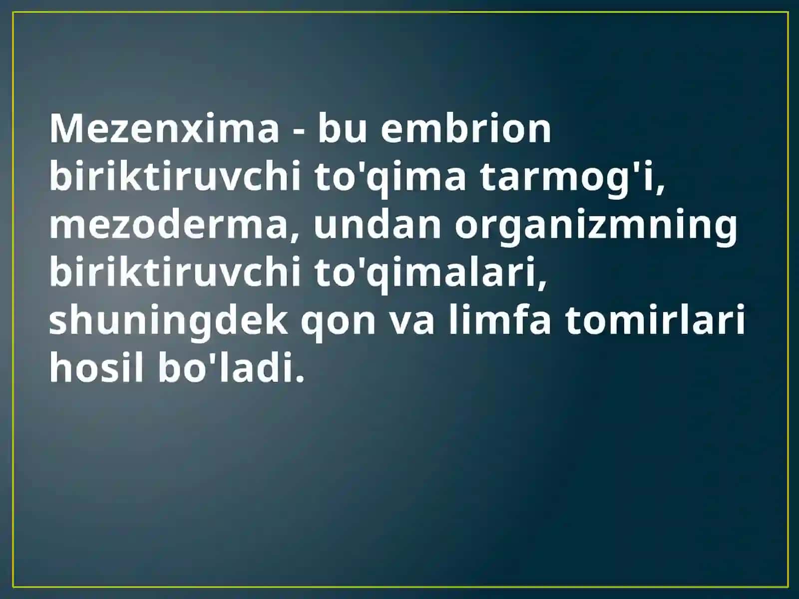 MEZENXIMANING TUZILISHI VA AHAMIYATI 2
