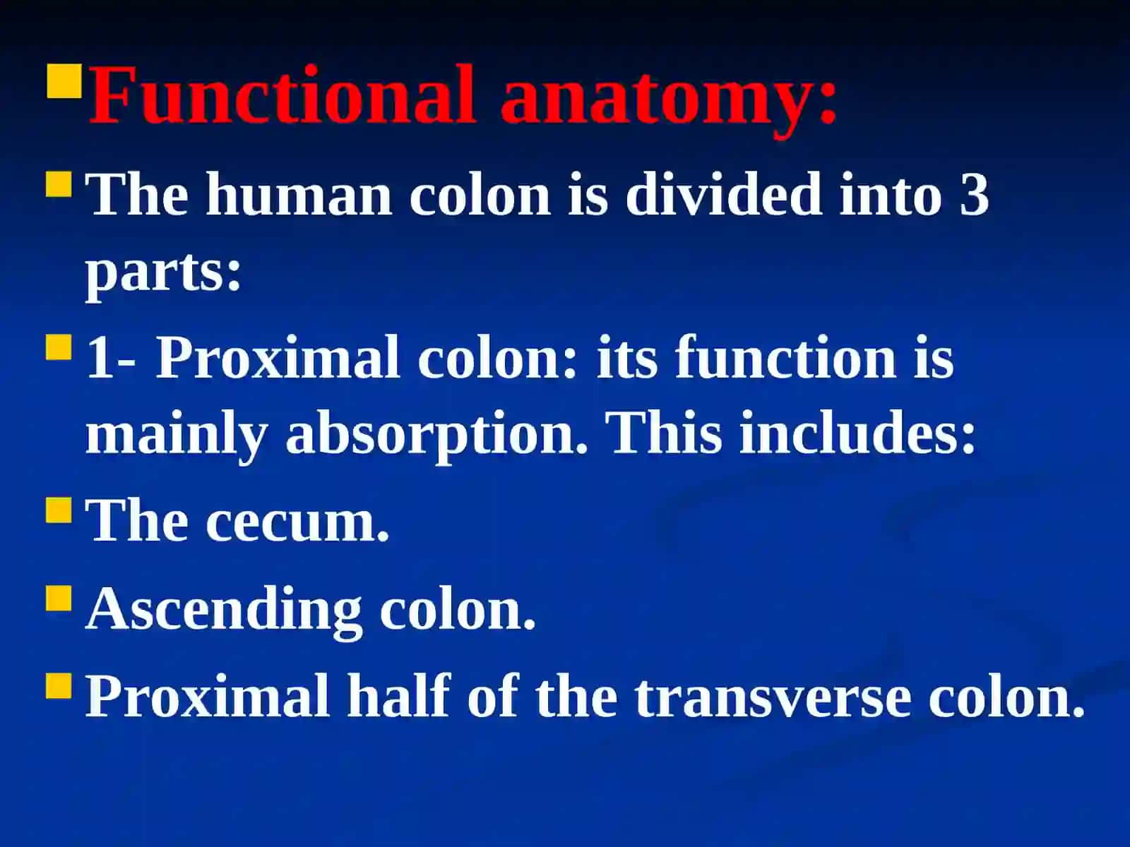 The large intestine 2