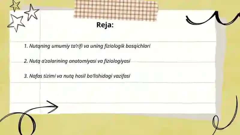 Nutqining umumiy fiziologik asoslari 2