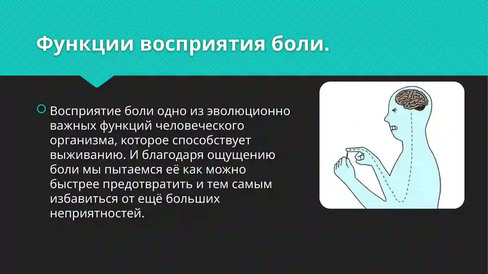 Восприятие боли. Управление болью 2