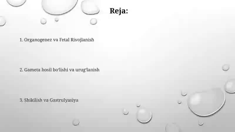 Filembriogenez nazariyasi 2