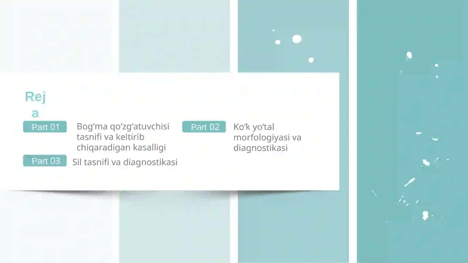 Havo tomchi infeksiyasi bogʻma koʻk yoʻtal sil tasnifi 2
