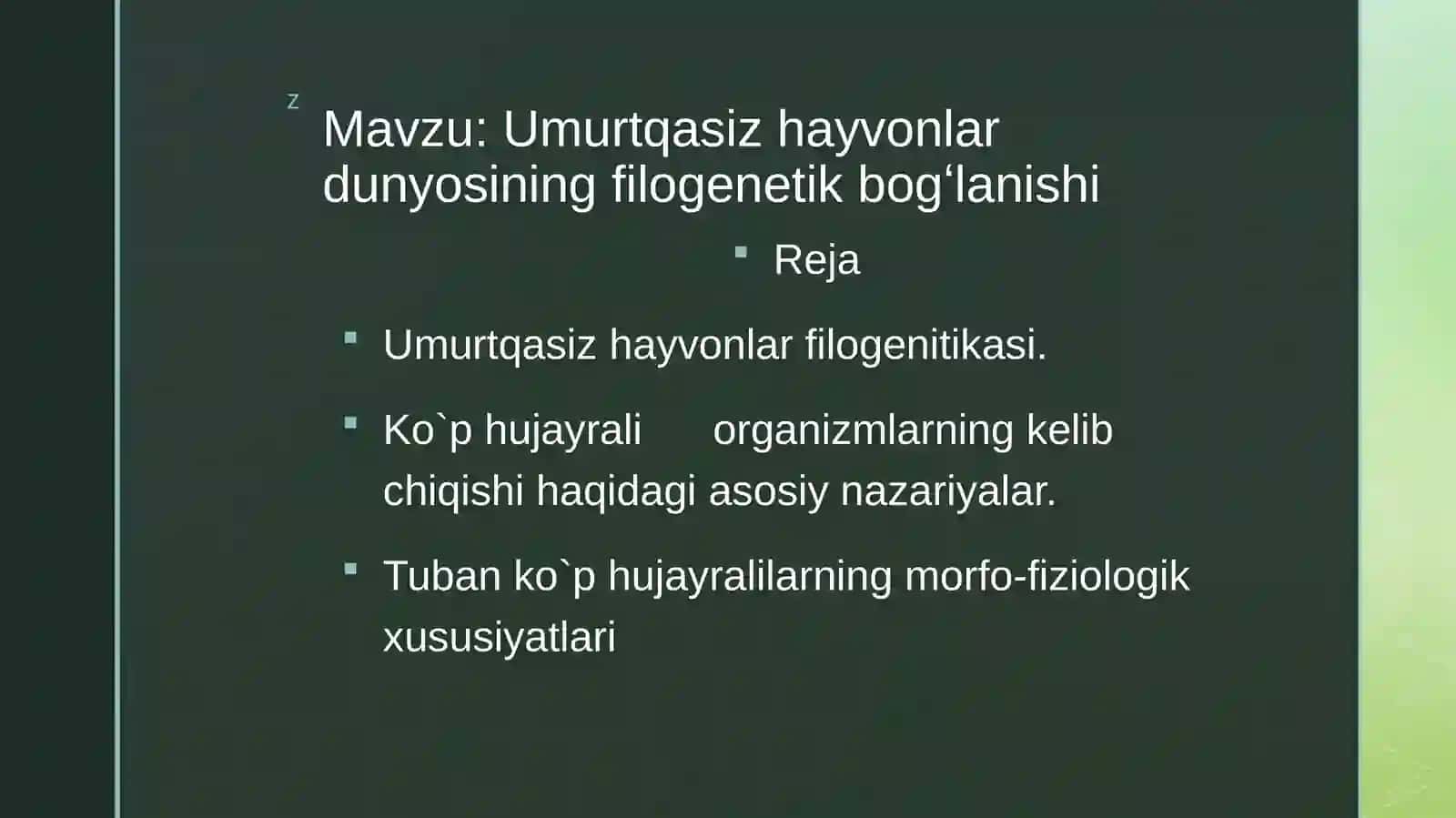 Umurtqasiz hayvonlar dunyosining filogenetik bogʻlanishi 2