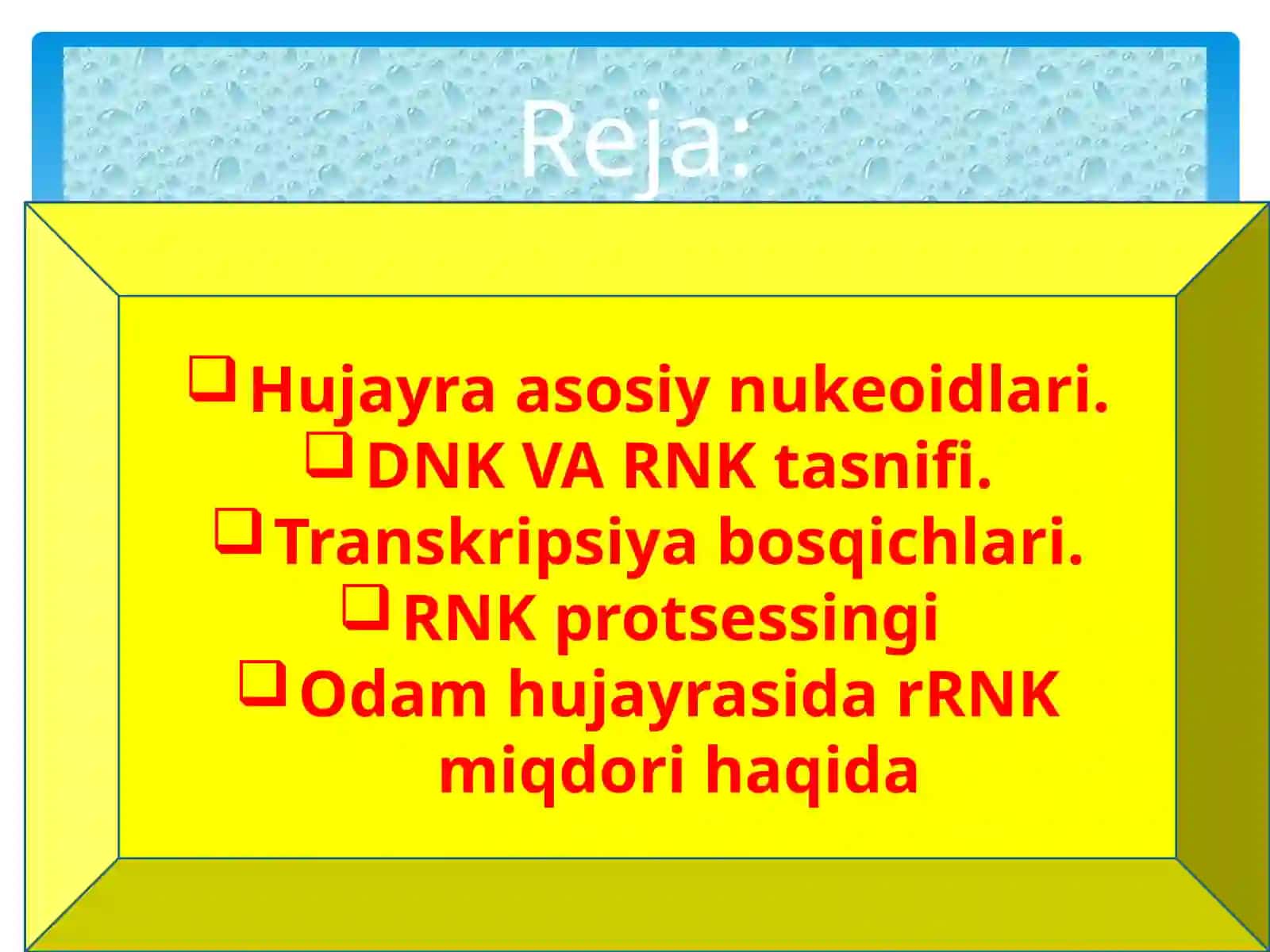 RNKprotsessingi 2