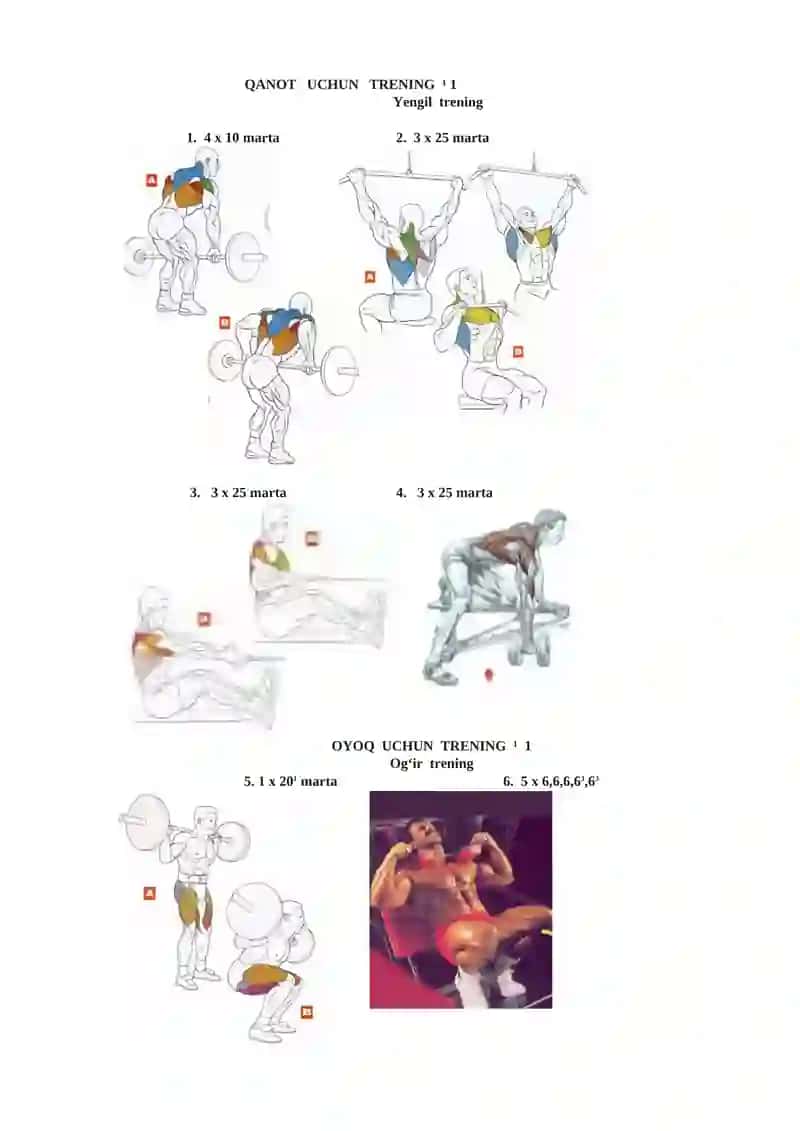 ATLETIK GIMNASTIKA BILAN SHUG‘ULLANISHDA 2