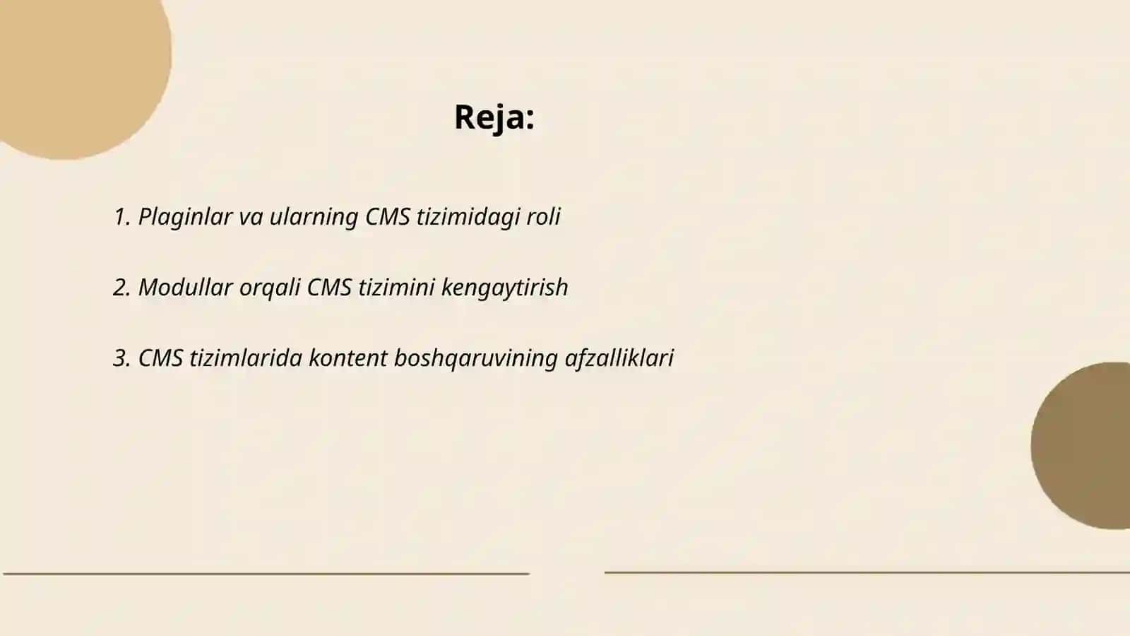 Plaginlar va ularning CMS tizimidagi roli 2