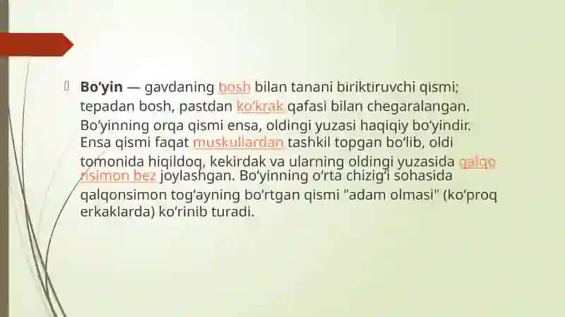 Bo'yin elka vabel dum 2