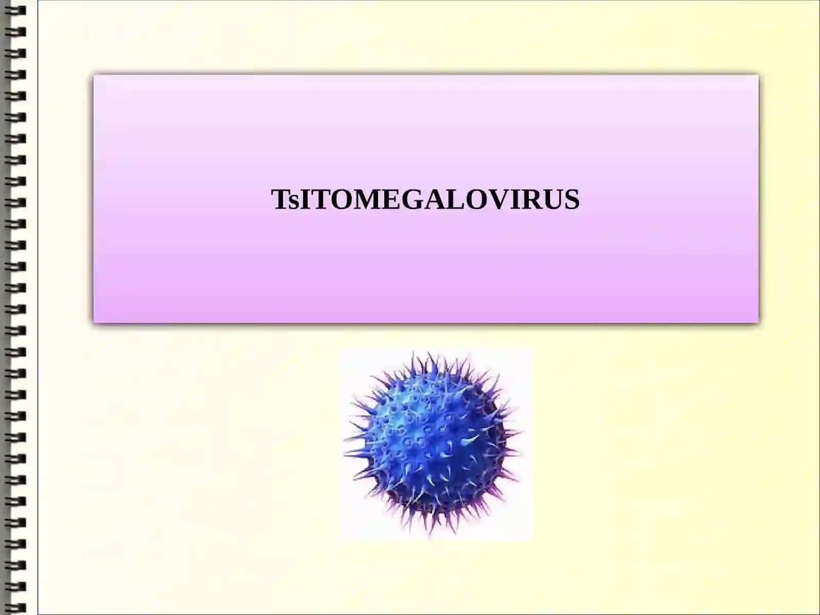 Jinsiy yo'l bilan yuquvchi infeksiyalar va sitomegalovirus 2
