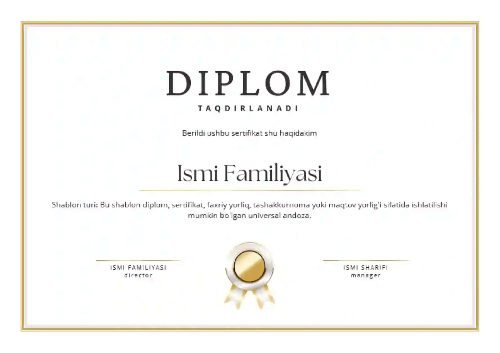 DIPLOM 2