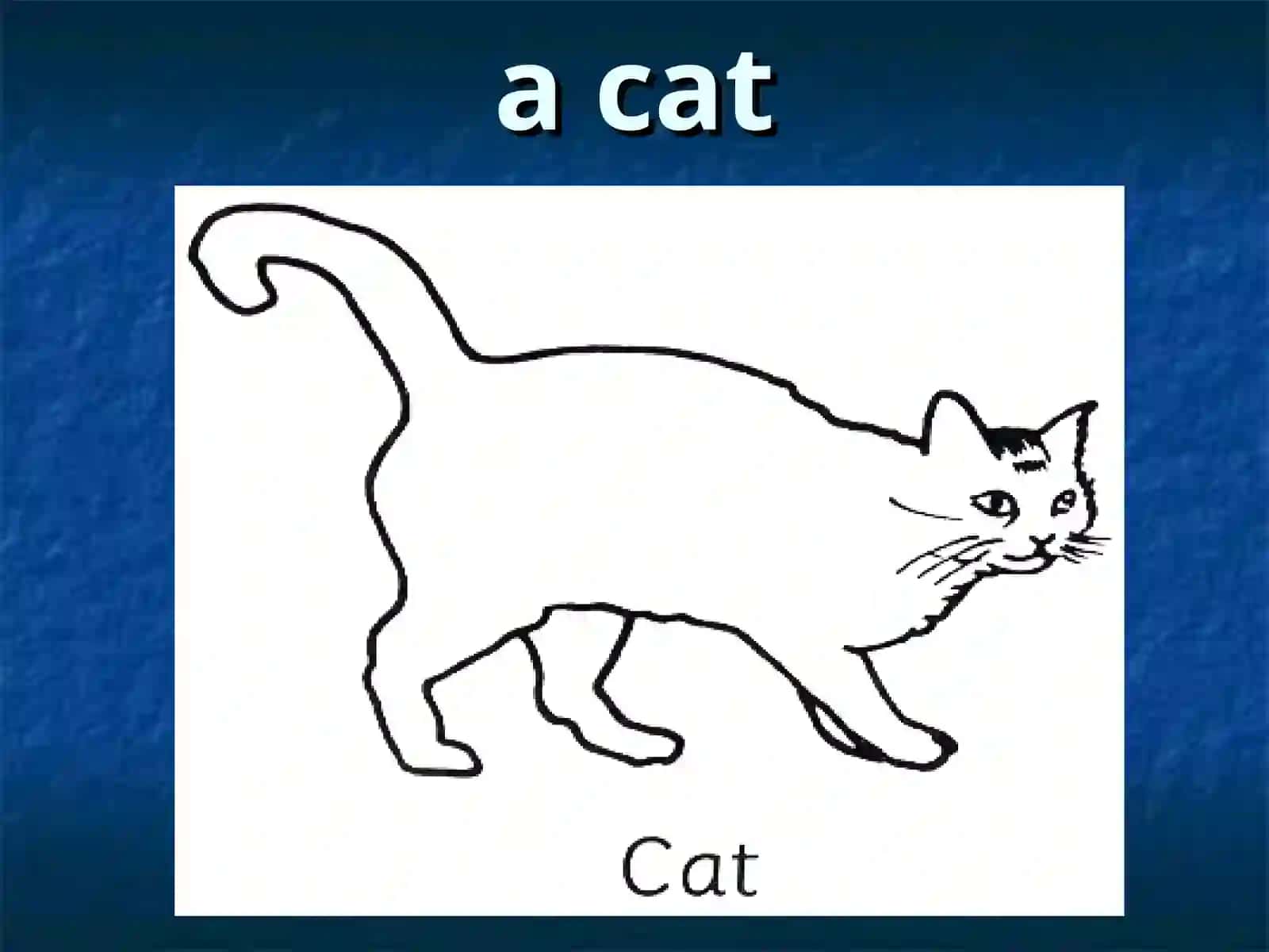 Animals 2