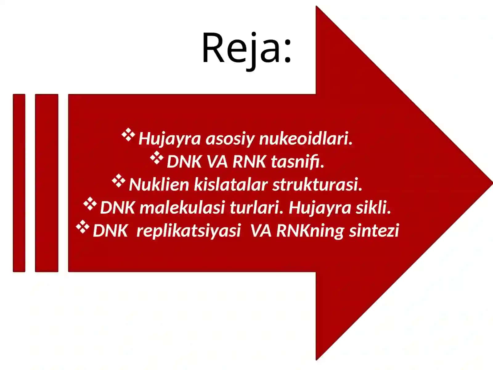 Nukleinkislotalar. DNK va RNK 2