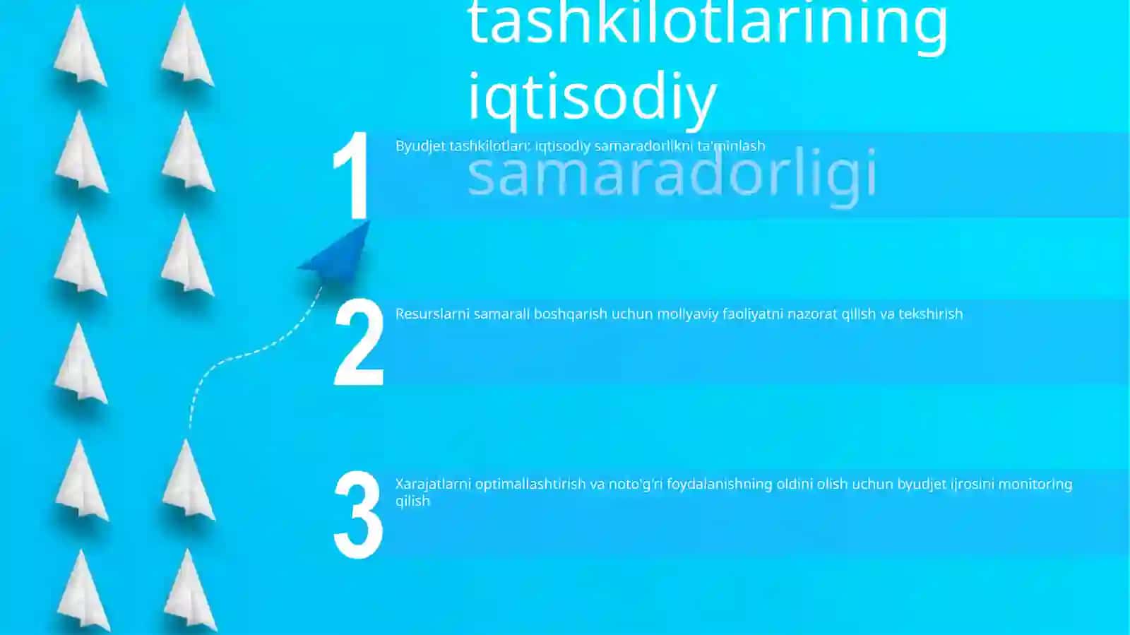 Byudjet Tashkilotlari Moliyaviy Xo'Jalik Faoliyatini Nazorat Taftish Qilishning Asosiy Vazifalari 2