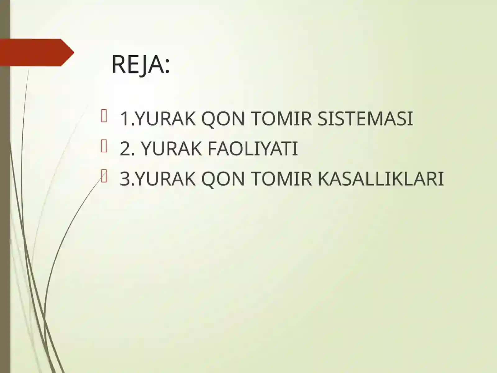 YURAK-QON TOMIR SISTEMASI 2