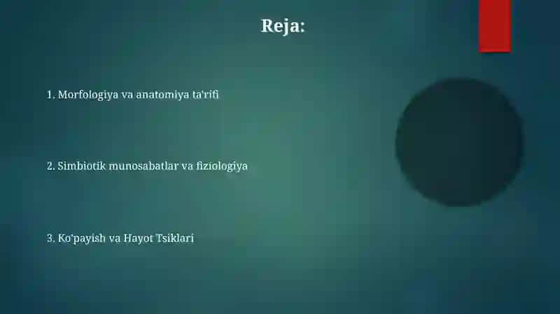 Lishayniklar boʻlimi xos boʻlgan sistematik belgilarni aniqlash 2