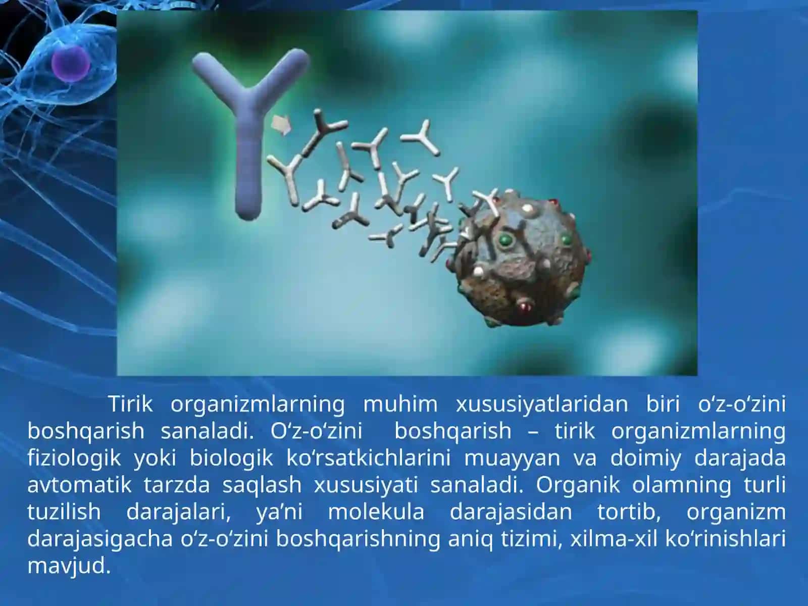 Tirik organizmlarning o‘z-o‘zini boshqarish organlari 2