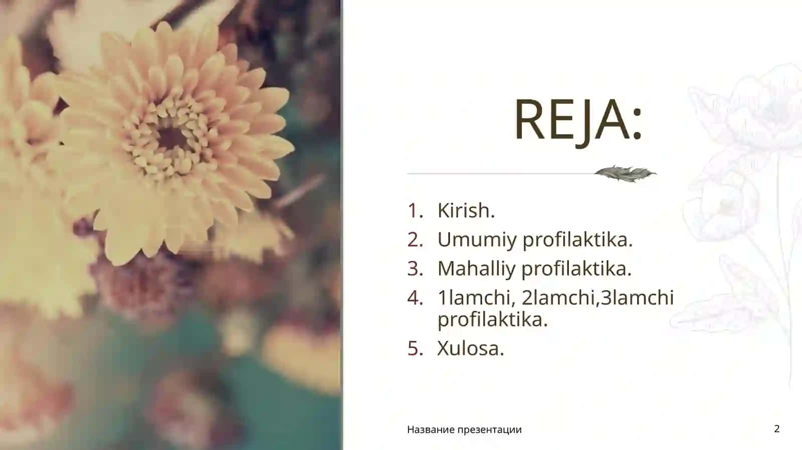 Parodont kasalliklarida profilaktika muolajalari rejasini tuzish 2