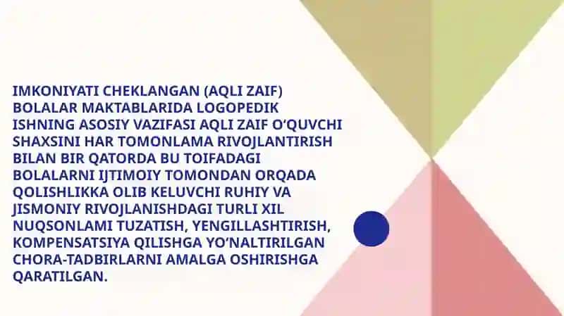 Imkoniyati cheklangan bolalarni umumta’lim maktablarida o‘qitishda konseptual talablar 2