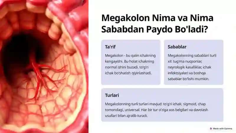 Megakolon va Hirpushrum Kassalligida Operatsiyalar 2
