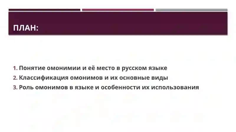 Типы омонимов 2