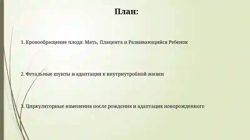 Кровообращение плода: Мать, Плацента и Развивающийся Ребенок 2