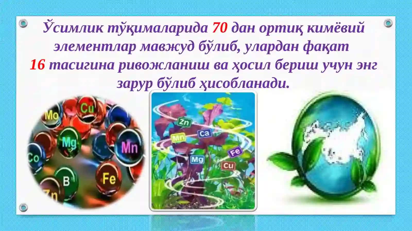 Mineral o'g'itlar mavzusiga oid tajribalar o'tkazish va masalalar yechesh. 2