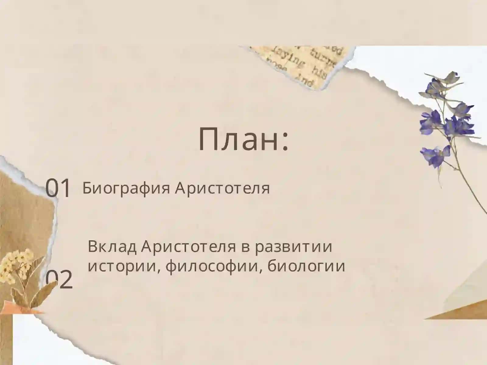 Деятельность Аристотеля 2