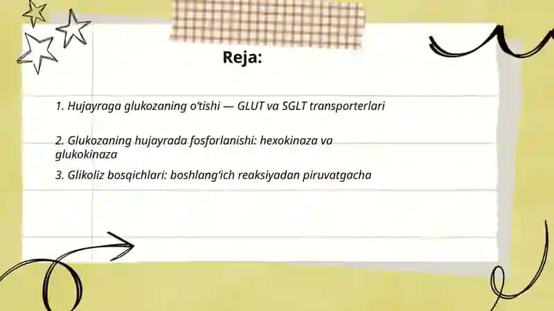Hujayrada glukozaning hazm bõlishi 2