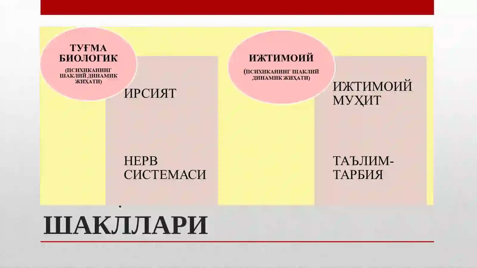 Психик акс эттириш 2