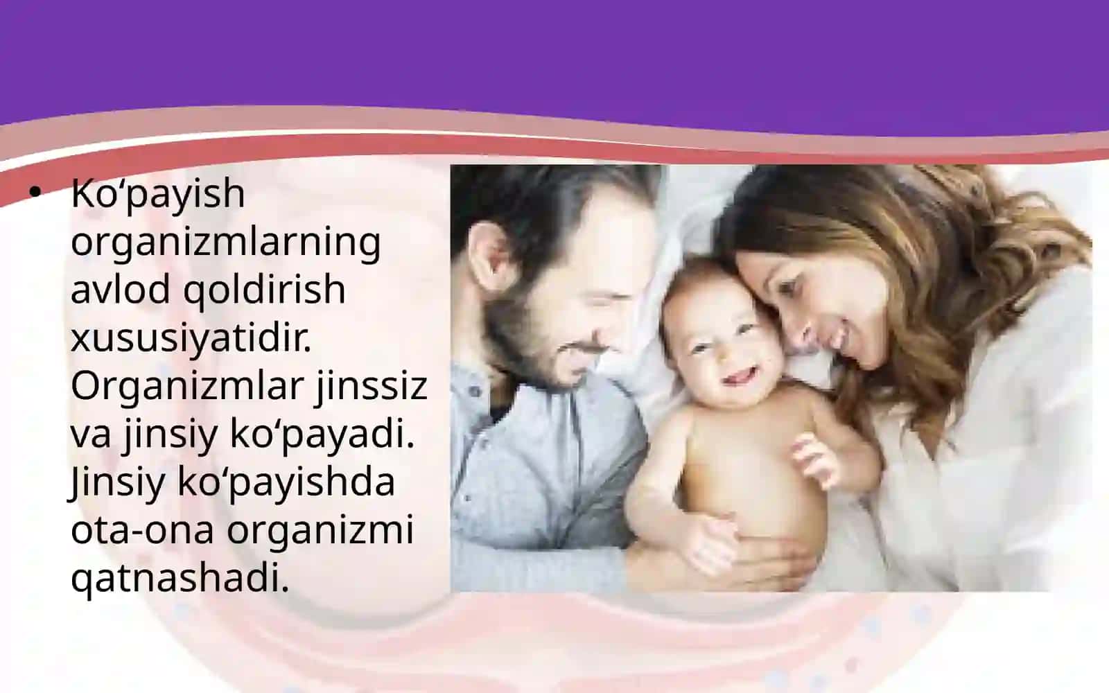 Ko‘payishning ahamiyati. Ko‘payish organlarining tuzilishi 2