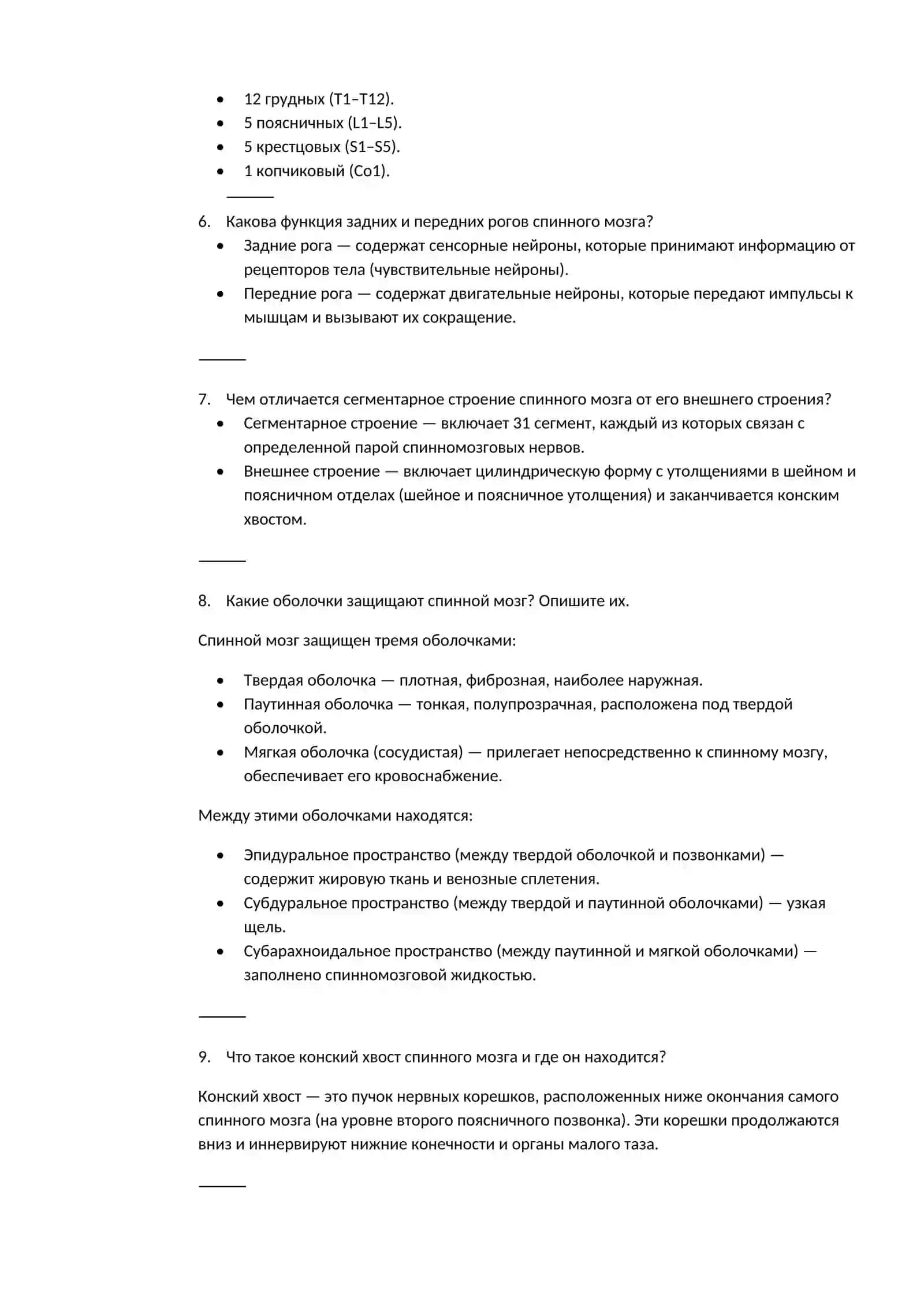 Спинной мозг 2