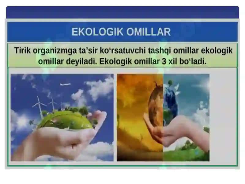 Ekologik omillar. Inson hayotiga ekologiyani ta’siri 2