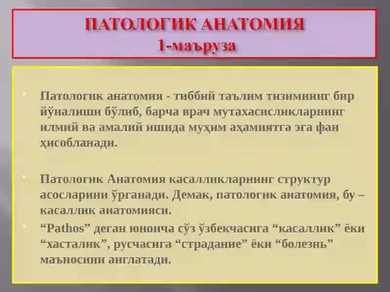 Патологик анатомия 2