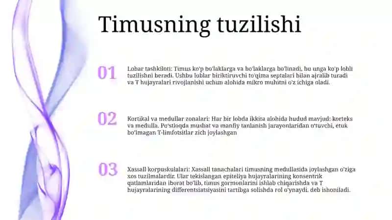 Timusdagi T Limfotsitlar Tuzilishi 2