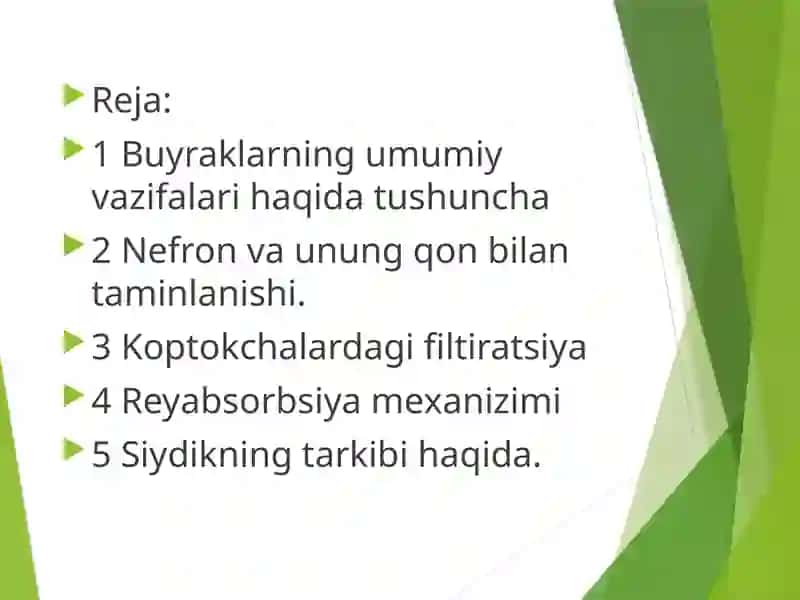 Buyrak fiziologiyasi 2