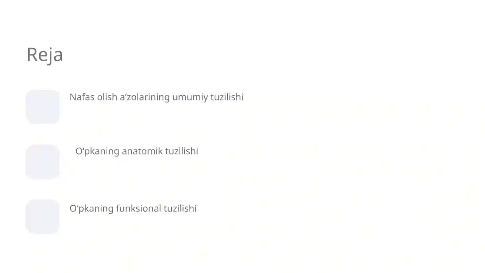 Nafas olish aʼzolarining tuzilishi 2