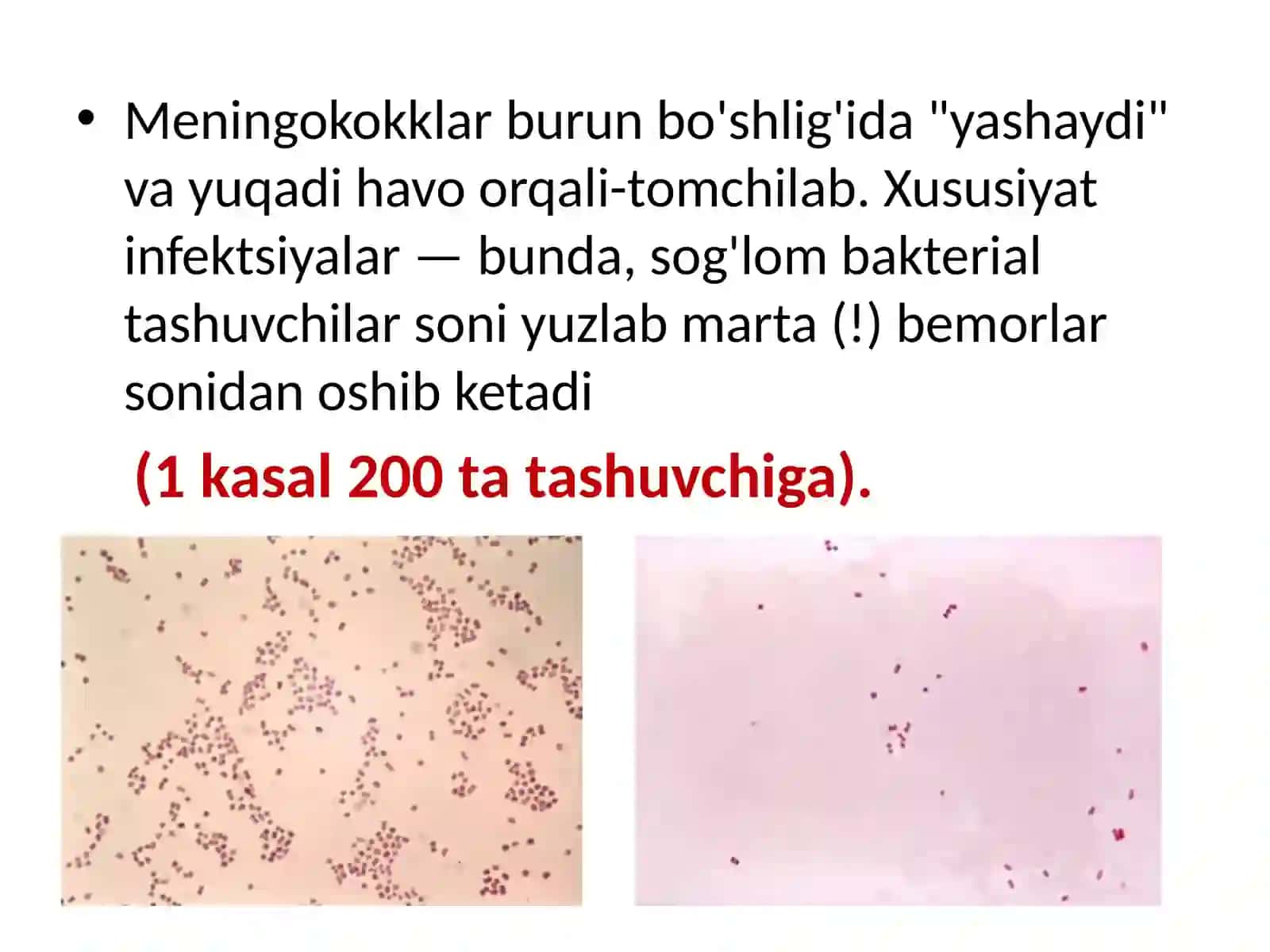 Meningokokk(Neisseria meningitidis) 2