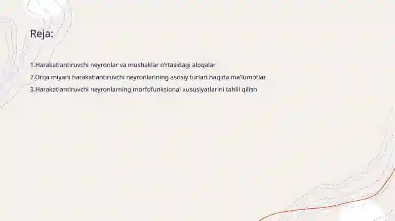 Orqa miyani harakatlantiruvchi neyronlaring turlari va ularning morfofunksional xususiyatlari 2