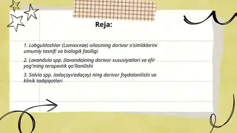 Labguldoshlar va ranoguldoshlar oilasiga mansub dorivor oʻsimliklar 2