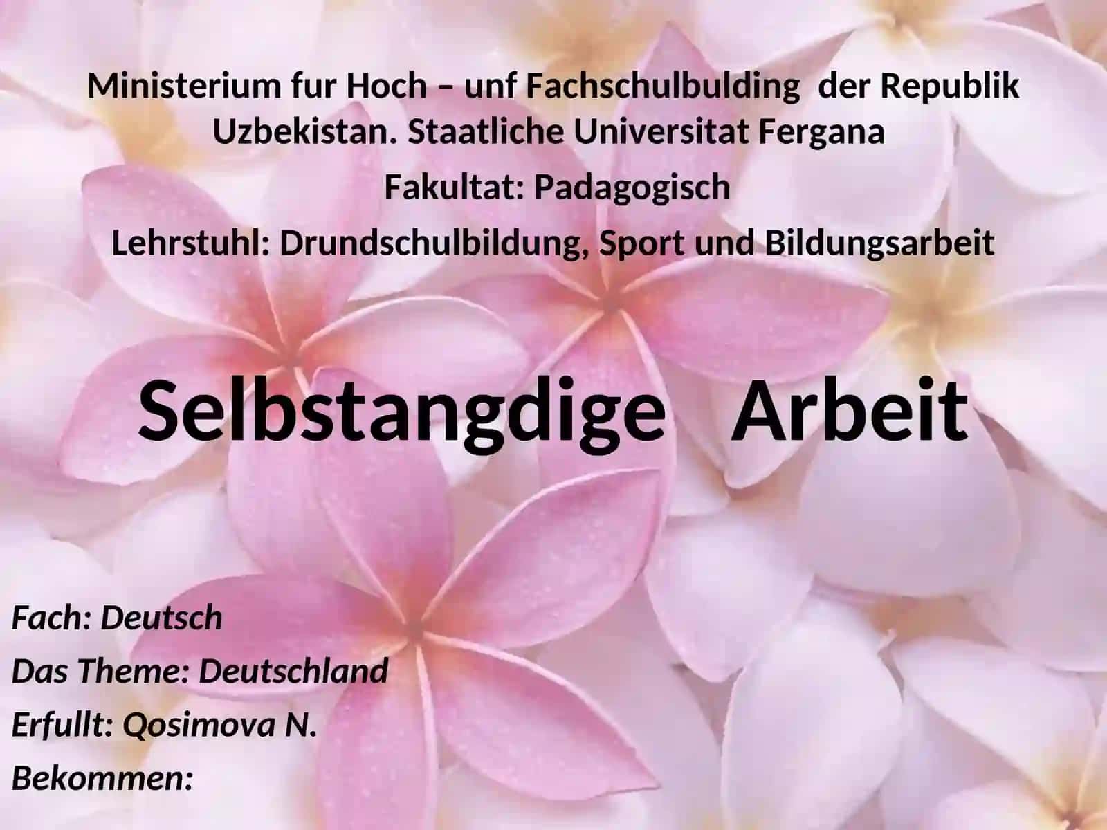 Selbstangdige Arbeit 2