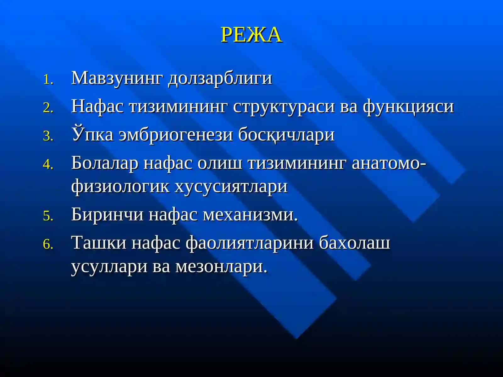 Нафас тизими анатомияси ва физиологияси 2