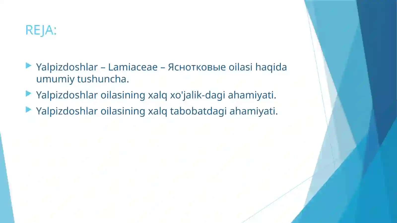 Yalpizdoshlar - Lamiaceae - Yasnoykovo'ye oilasidagi turlar biologiyasi, ekologiyasi, areali va xalq xo'jaligidagi ahamiyati 2
