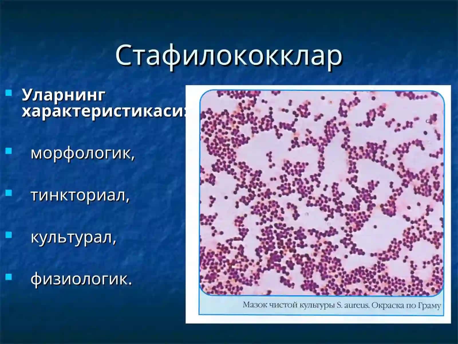 Patogenlik 2