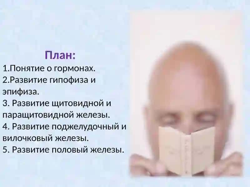 ЗАНЯТИЕ.ВОЗРАСТНЫЕ ОСОБЕННОСТИ ЭНДОКРИННОЙ СИСТЕМЫ 2