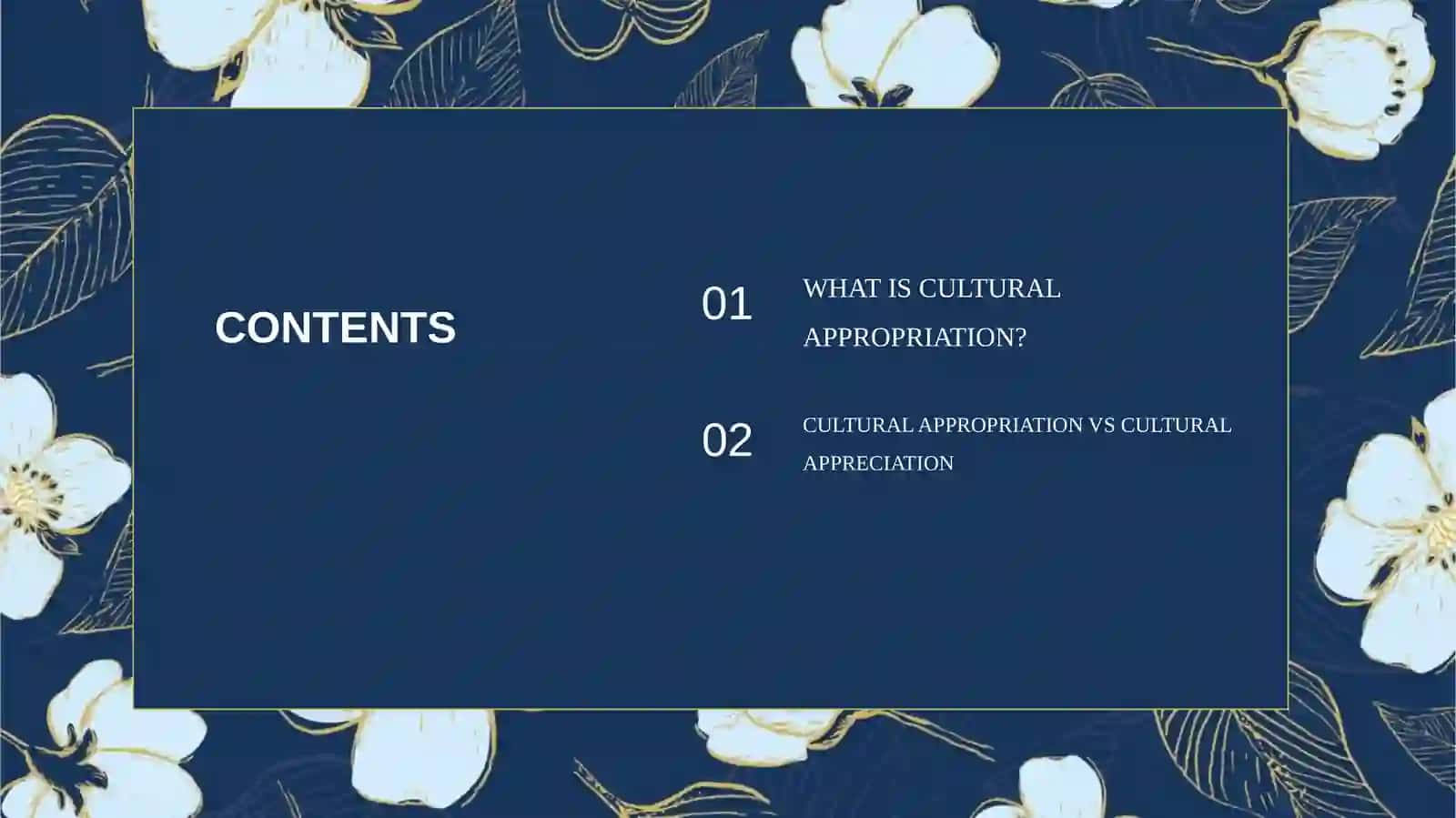 CULTURAL APPROPRIATION 2