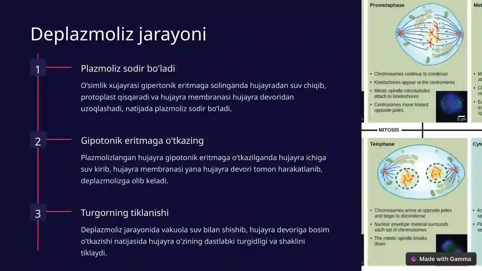 Deplazmoliz jarayoni 2